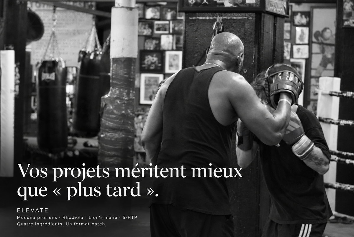 ELEVATE — entraînement de boxe vu de dos. Vos projets méritent mieux que « plus tard ».